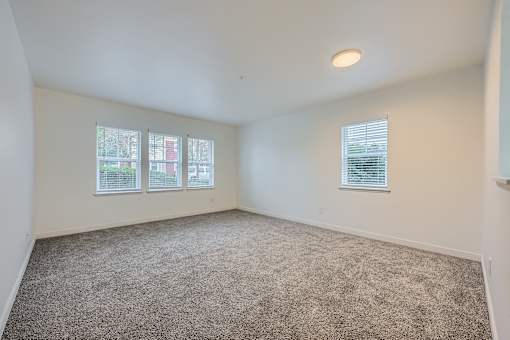 A room with a carpeted floor and a window with blinds.