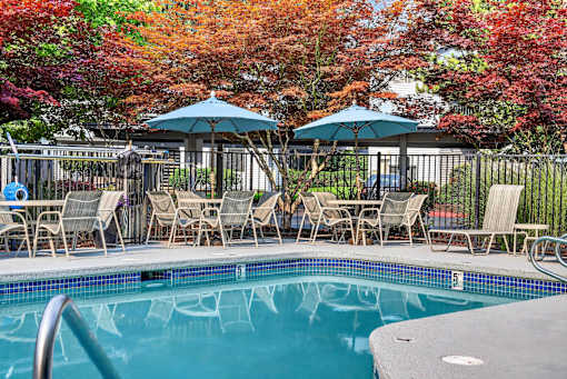 A pool surrounded by chairs and umbrellas with trees in the background.