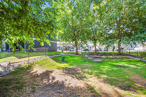 A park with a dirt area and trees.