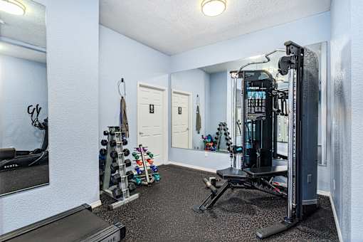 A home gym with a squat rack, dumbbells, and a bench.