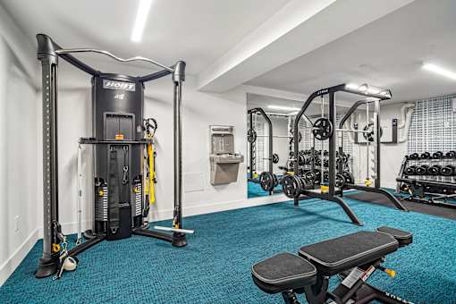 A gym with a blue carpet and a variety of equipment.