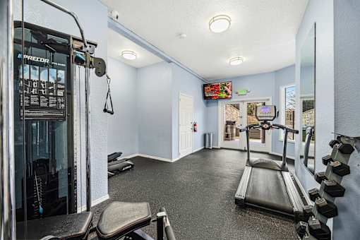 A gym with a treadmill, weights, and exercise equipment.