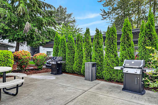 A backyard with a picnic table, a grill, and a row of trees.