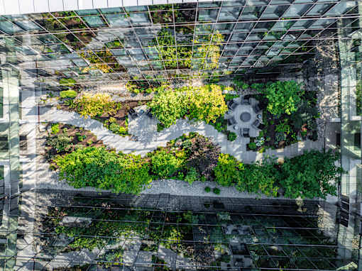 A green roof on a building with plants growing on it.