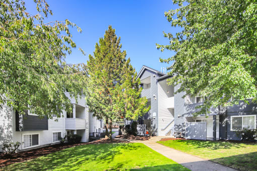 the preserve at ballantyne commons apartments courtyard and trees