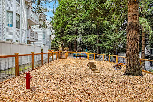 A red fire hydrant sits on a gravel area surrounded by trees and apartment buildings.