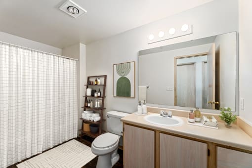 a bathroom with a toilet sink and mirror and a shower