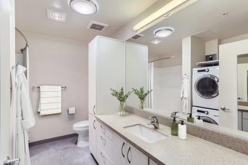 a bathroom with a sink and a toilet and a washing machine
