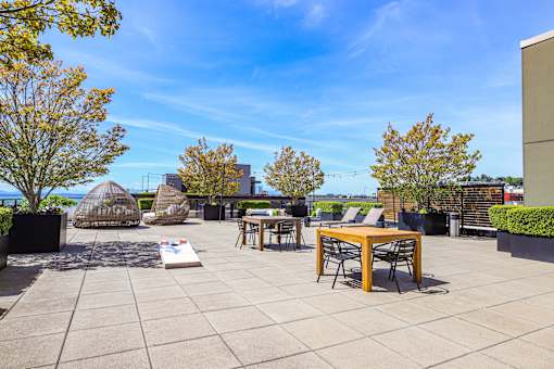 A patio with a table and chairs is surrounded by trees.
