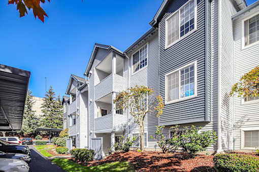 A row of modern apartment buildings with trees and shrubs in front.