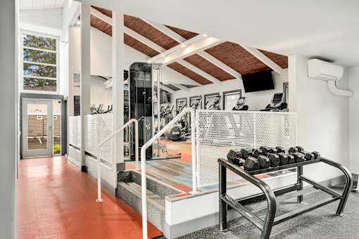 a gym with a rack of dumbbells and a screen on the wall