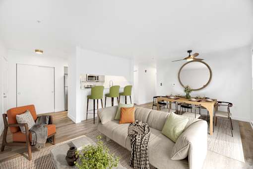 A living room with a white couch and a green plant on the coffee table.