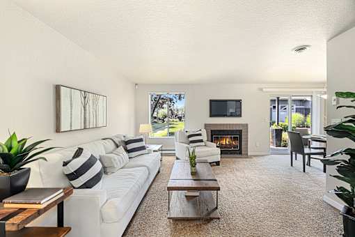 A living room with a fireplace and a television.
