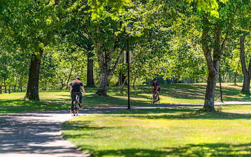 Two people riding bicycles on a path in a park.