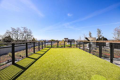 A long, narrow, green lawn runs the length of a black fence.