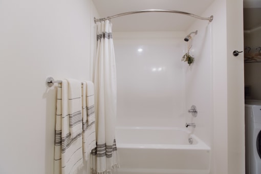 a bathroom with a shower and a tub and a towel rack