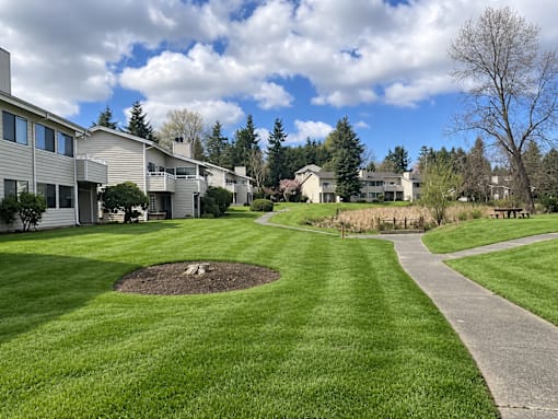 A grassy area with a circular patch of dirt in the middle and a concrete pathway.