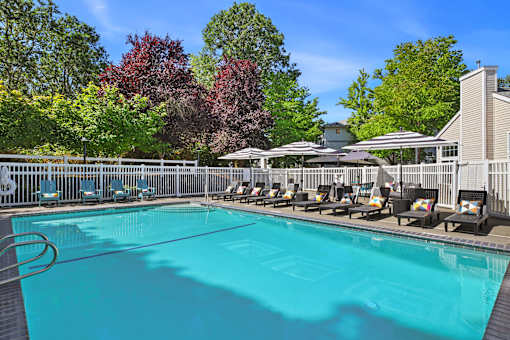 A large swimming pool surrounded by trees and lounge chairs.