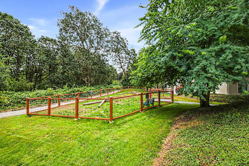 A wooden fence encloses a green yard.