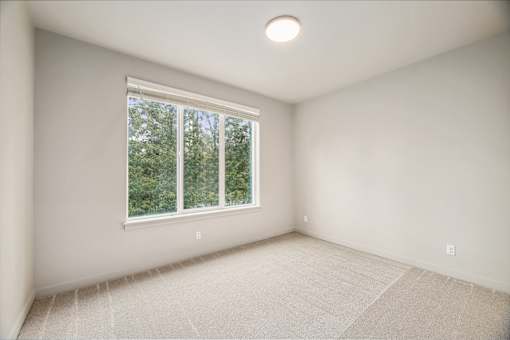 A room with a window and a carpeted floor.