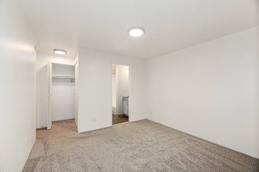 A large empty room with a carpeted floor and a small closet.