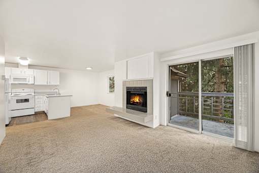 A modern kitchen with a fireplace and sliding glass doors.
