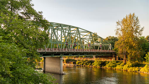 A green bridge over a river with trees on the left.