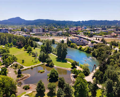 A beautiful aerial view of a park with a lake and a bridge.