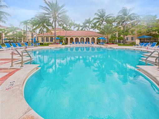 A large swimming pool surrounded by palm trees and lounge chairs.