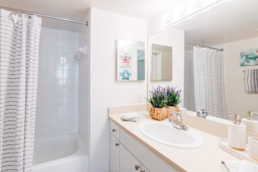 a bathroom with a sink and a shower and a mirror