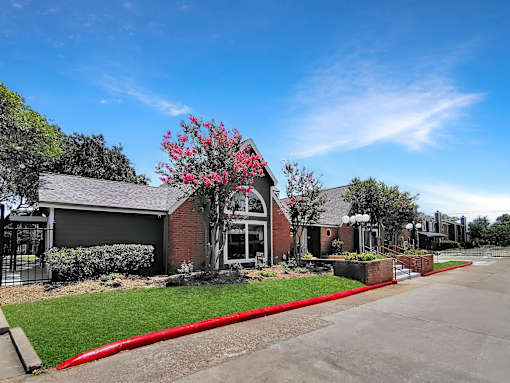 A red flowering tree is in front of a building.