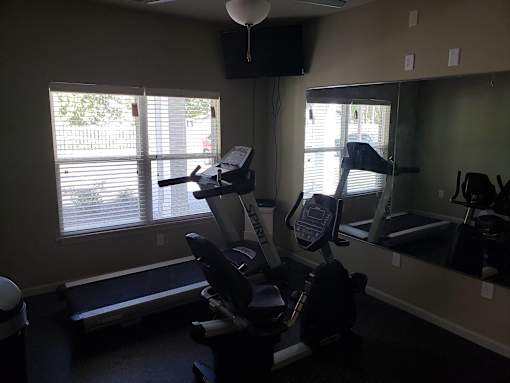A gym with treadmills, elliptical machines, and a television.