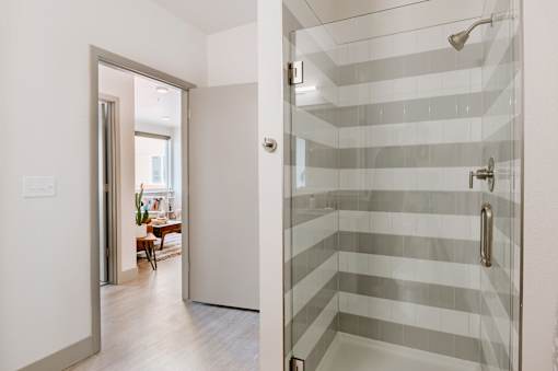 A bathroom with a walk-in shower and a doorway leading to a living room.