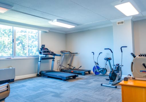 a fitness room with treadmills and exercise bikes