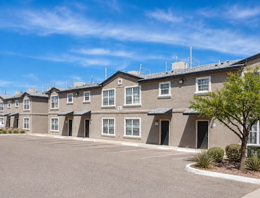 A row of townhouses with a tree in front.