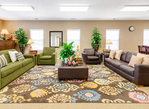 A living room with a patterned rug and a green couch.