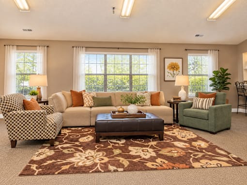 A living room with a patterned chair, a sofa, a coffee table, and a rug.
