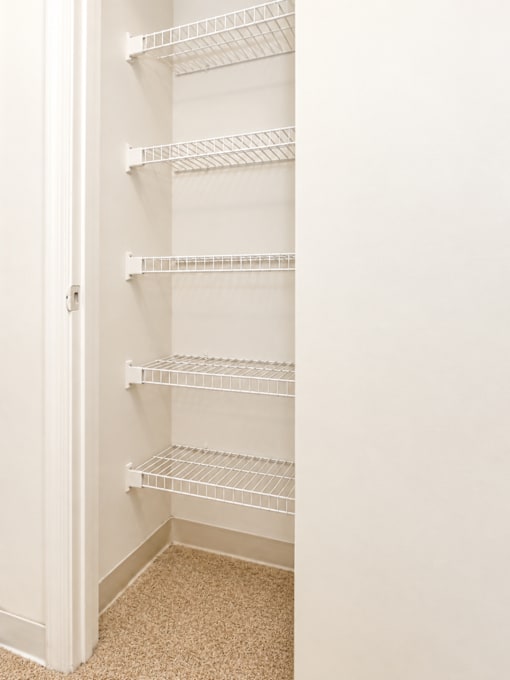 Empty white shelves in a white pantry.