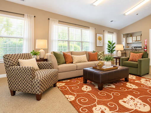 A living room with a patterned chair and a couch with throw pillows.