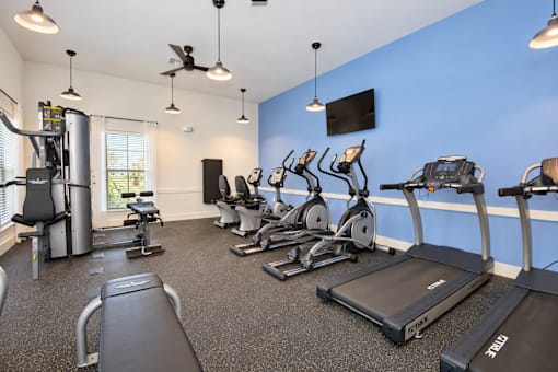 Cardio lab with treadmills and ellipticals
