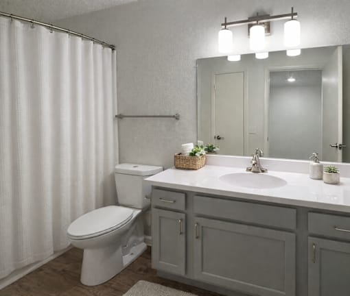 A white toilet sits next to a sink in a bathroom.