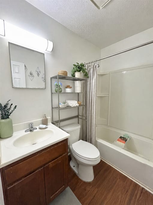 A white sink with a green plant on the counter.