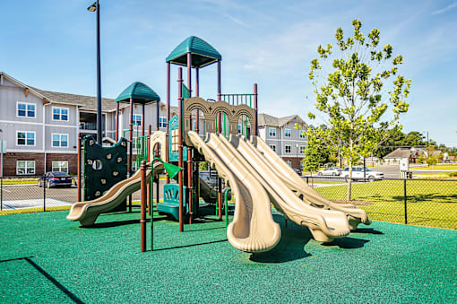 A playground with a green slide and a tree.