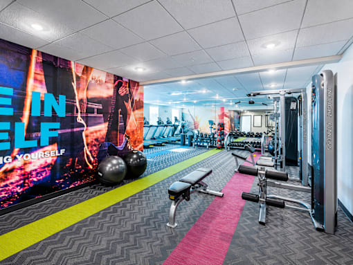A gym with a variety of equipment including a bench, weights, and a treadmill.