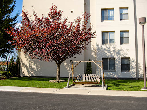 A tree with red leaves is in front of a white building.