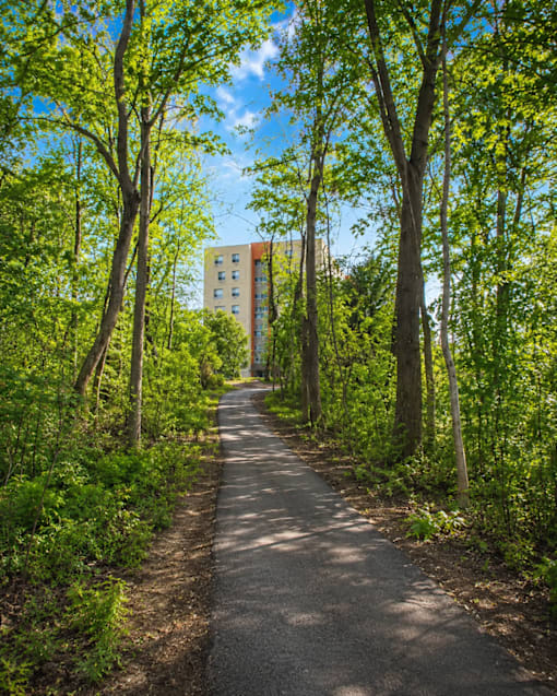 A tree-lined path in a park with a building in the background.