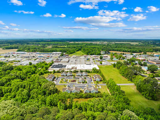 A bird's eye view of a residential area surrounded by greenery.