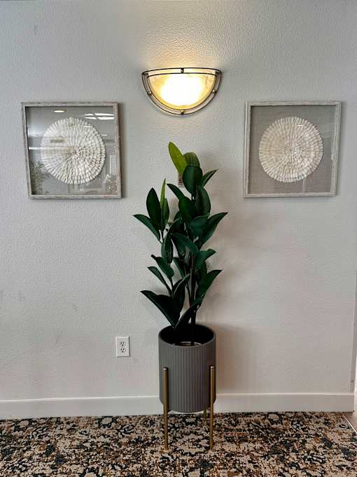 a potted plant in the corner of a room with two pictures on the wall