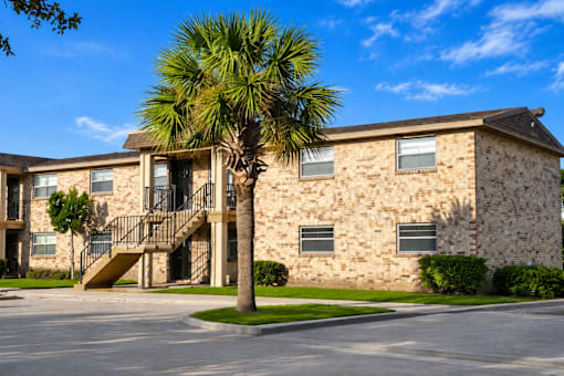 A stone building with a palm tree in front.