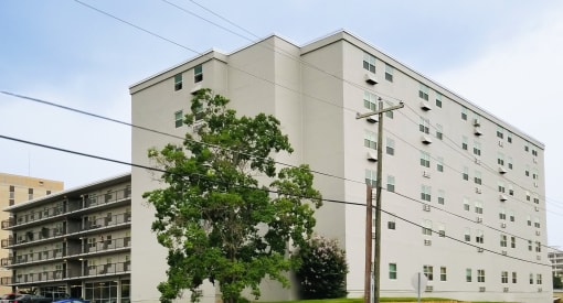 a large white building with a tree in front of it